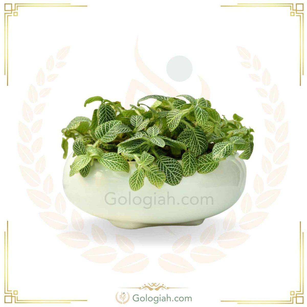 استند چهارپایه کوچک قهوه ای
