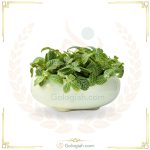استند چهارپایه کوچک قهوه ای