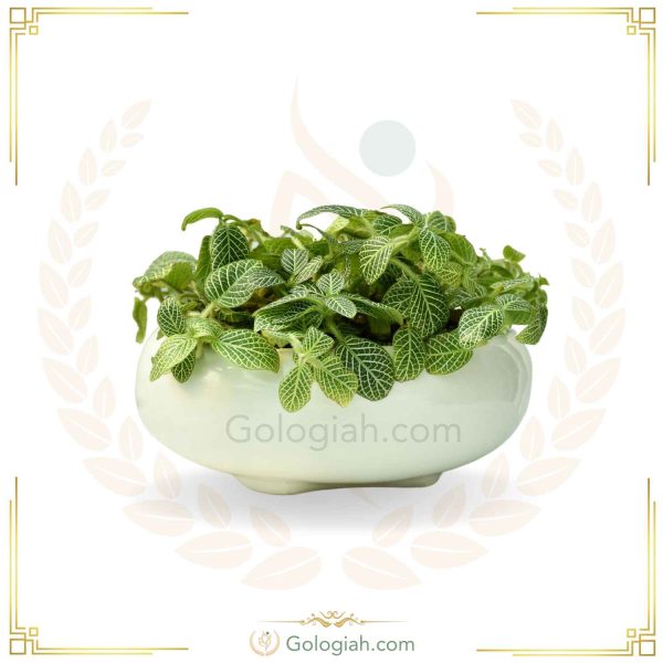 استند چهارپایه کوچک قهوه ای