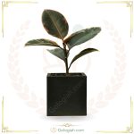 استند چهارپایه کوچک سفید