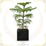 استند چهارپایه دو طبقه