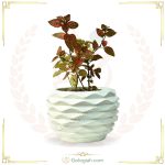استند پایه سفید