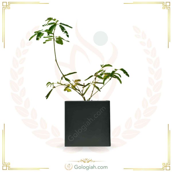 باکس پایه دار چوبی بزرگ