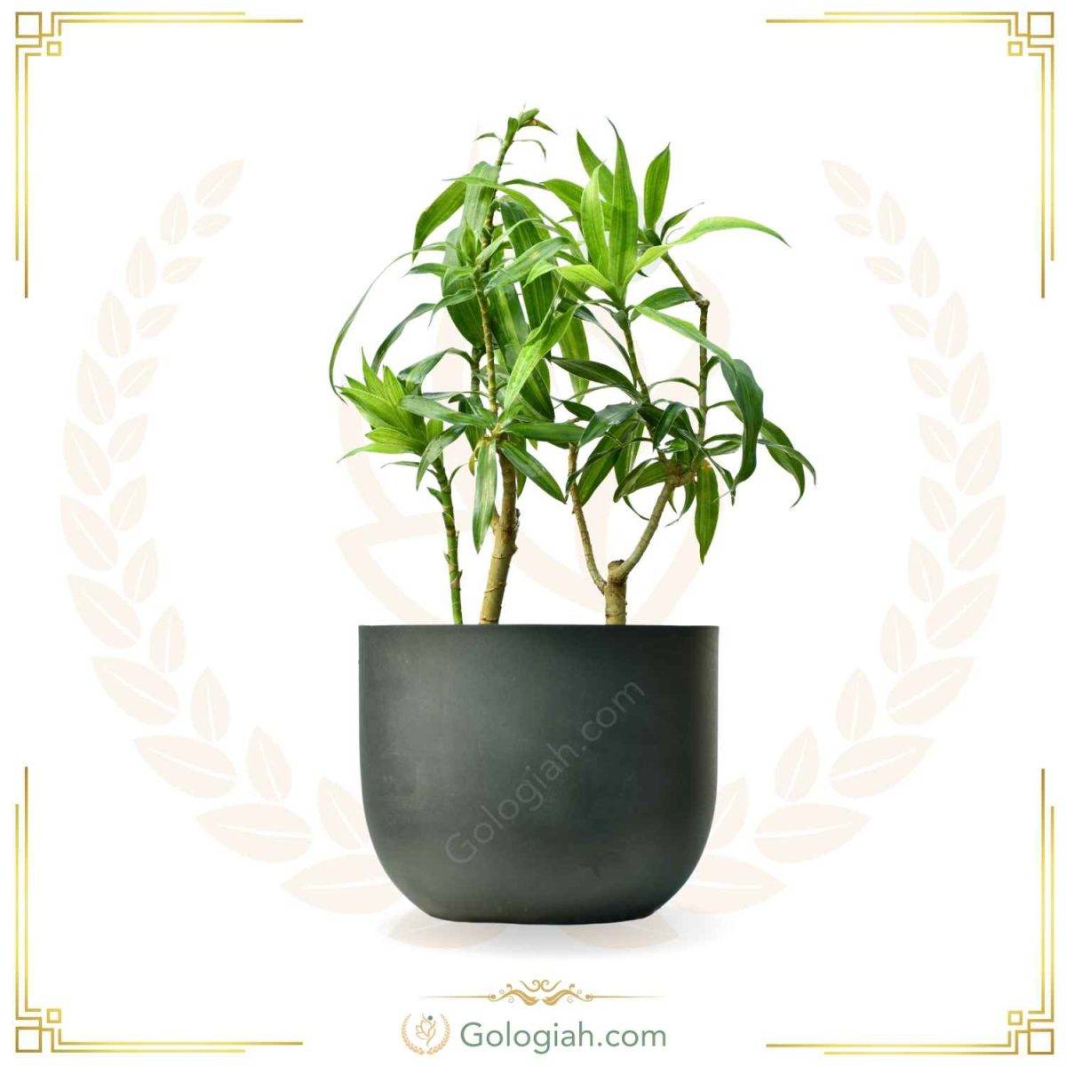 جاشمعی چوبی جاشمعی چوبی