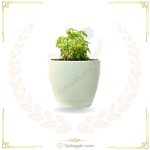 عطر چای