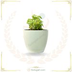 عطر چای