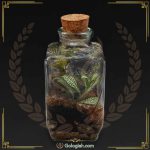 گلدان تراریوم چهارگوش چوب پنبه ای