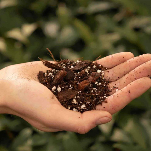 ترکیب خاک مناسب برای آنتوریوم خاک برای آنتوریوم