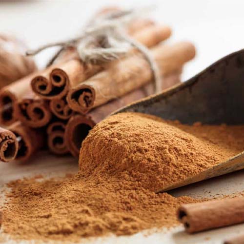 دارچین برای رشد سانسوریا دارچین برای سانسوریا