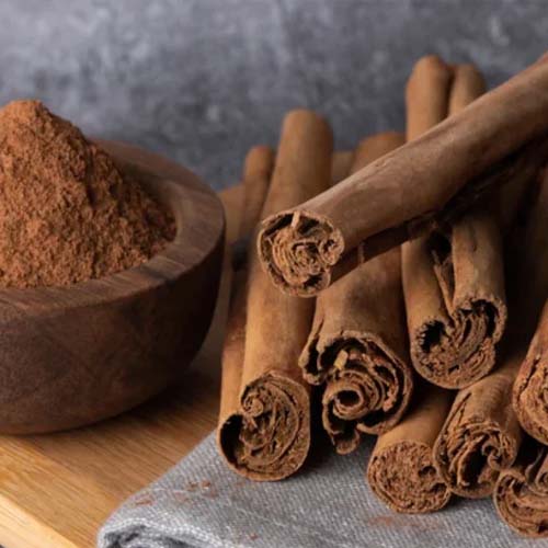 دارچین برای رشد سانسوریا دارچین برای سانسوریا